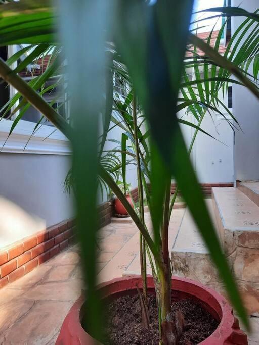 Ellyz Home Stay Moshi Exterior foto